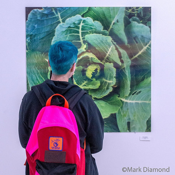 Green Cabbage Botanical Study in 3D