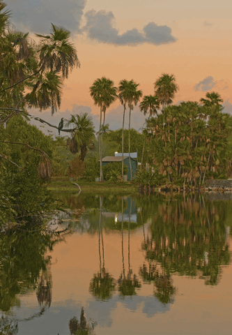 Fairchild Botanical Gardens at Sunset in 3D