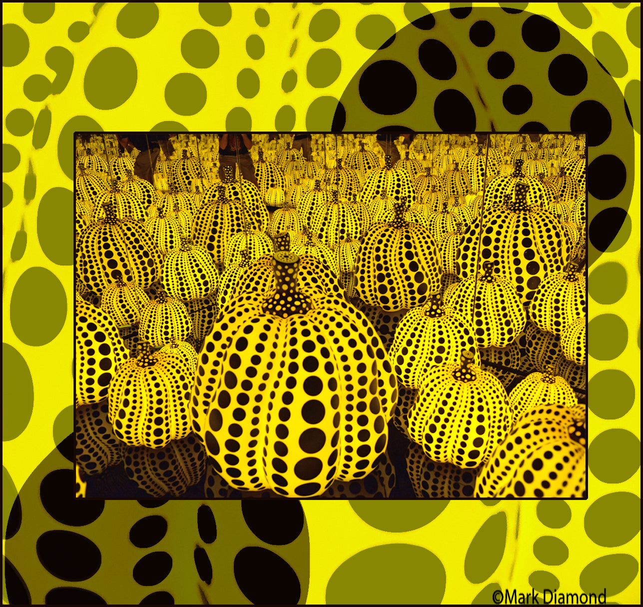 Yayoi Kusama Installation  in 3D