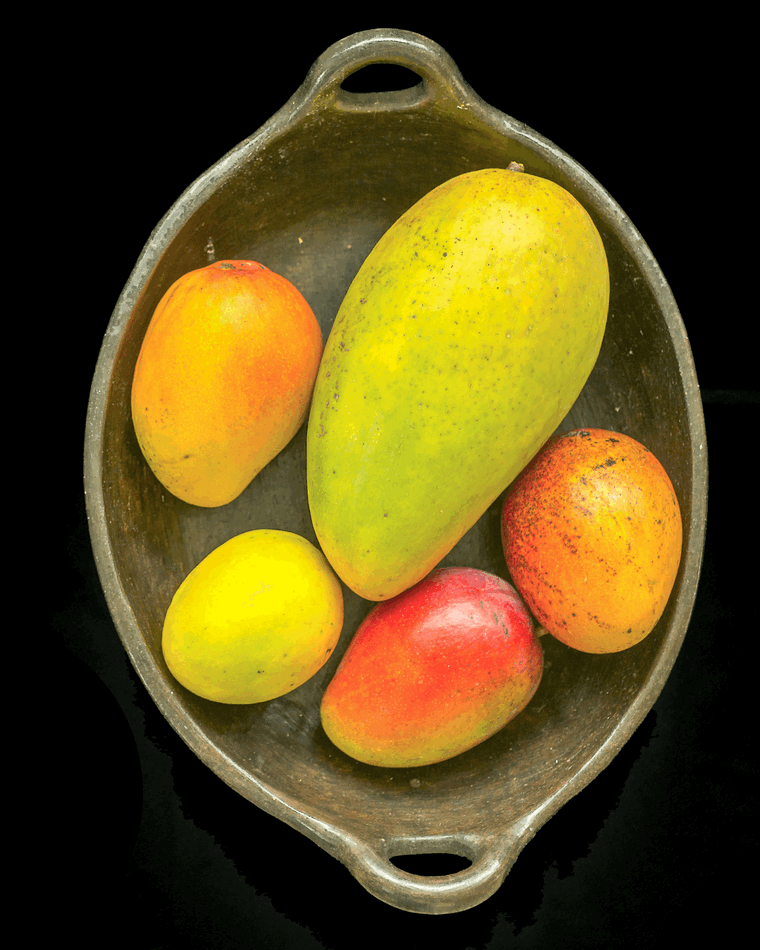 Mangos Botanical Study in 3D