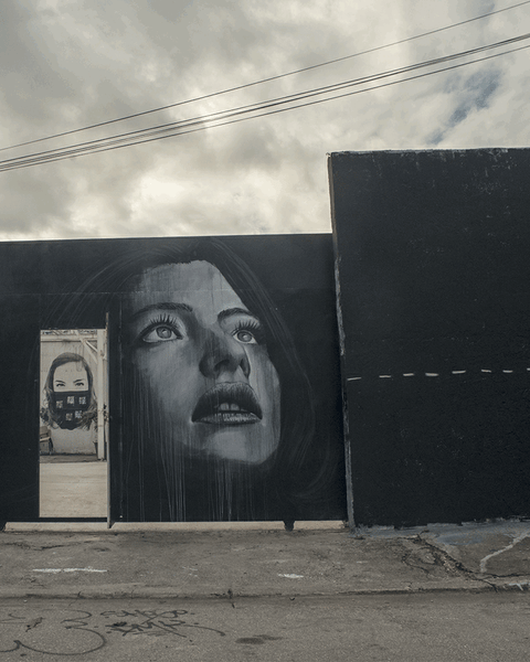 Wynwood Wall with Rone Mural 3D